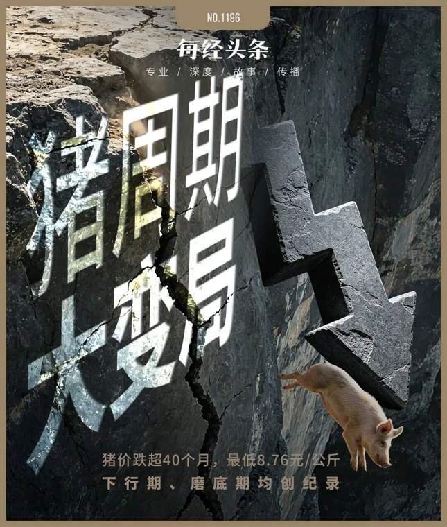 猪价创17年新低,养猪的逻辑彻底变了!专家:猪周期已变形,“地板价”不会再现,反转拐点也不会来